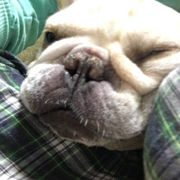 5c89a22e 4258 45f0 9104 ee78fcd99921