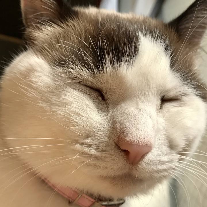 5c8a1303 2676 4e7b 9cdc 1210fb930d0f