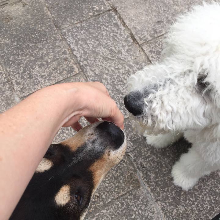 5c8a16bb 5176 47a6 a361 67c448f19d76