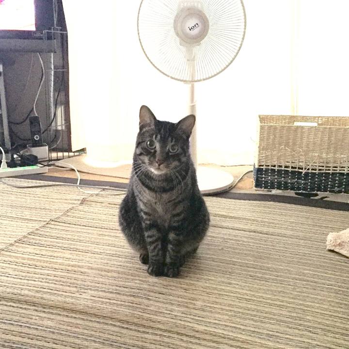 5c8b2cd8 7f71 4da9 a495 b18e701dfc71