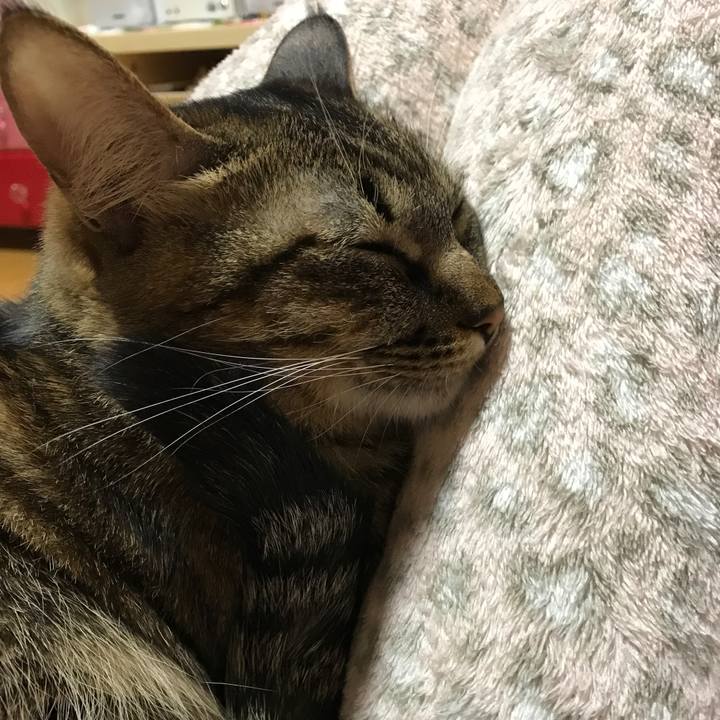 5c8b3c39 ecd9 4677 91ff c715495f4bb2