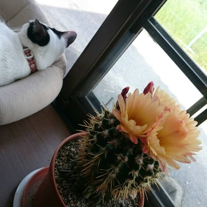 5c8c93e4 7cbb 4ca5 bec7 07b11aaca91d