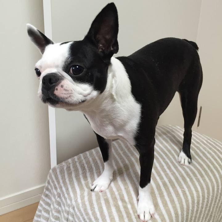 5c8d39ee 6dc1 444a 8450 c631ffdffd7d