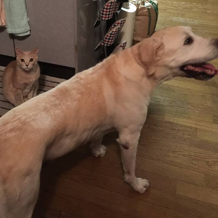 5c8db627 5894 44c8 bac9 ba6d6008dd6c