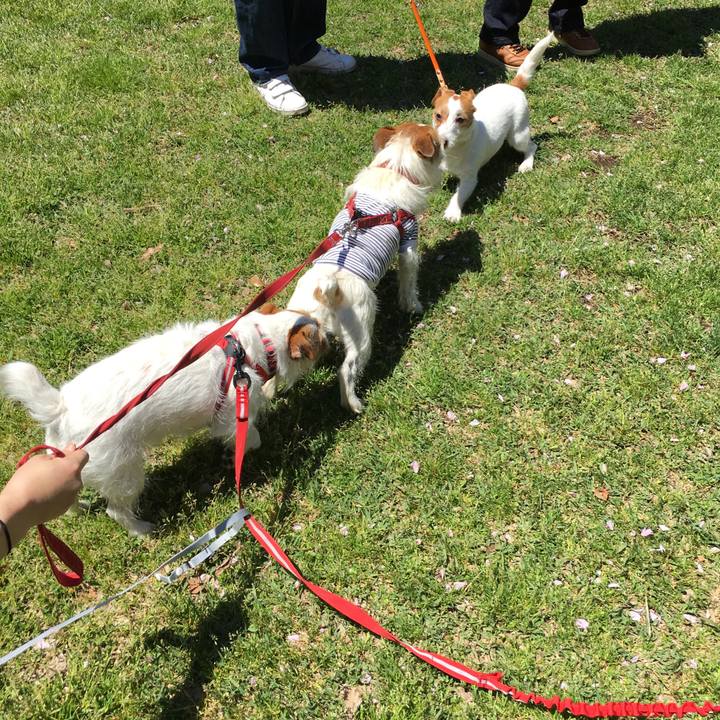 5c8e2897 9c26 4863 aec7 cefebba1417b