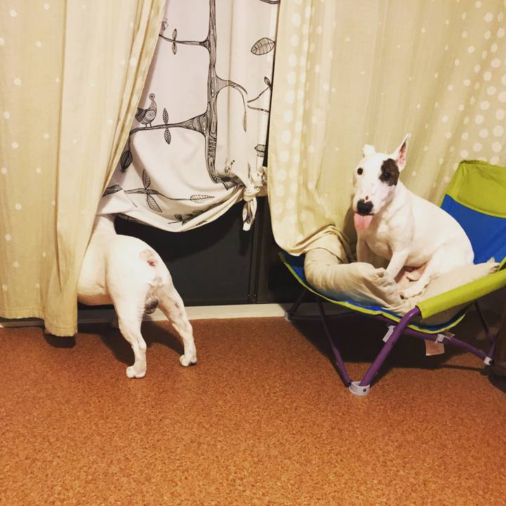 5c8e694d 3993 43cc a0c0 4d72306a8092