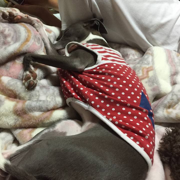 5c8e984a 9a67 4869 9c27 cb79e02e1014