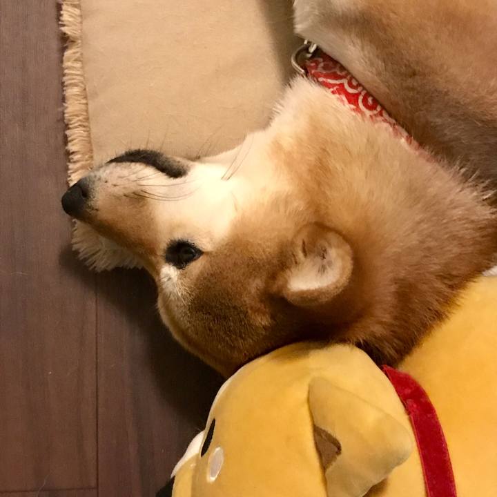 5c8f1dfa 4b20 40dc 9e97 40dfa7f5a406