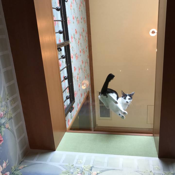 5c8f32ac bab5 4ea5 bcb9 07e4262757a9