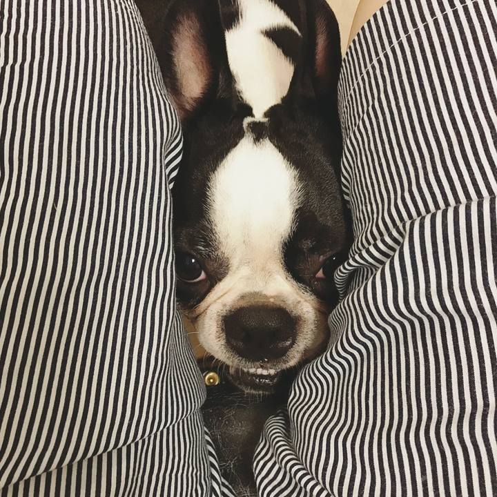 5c8fbf57 92c7 4826 9c18 d63956fdcf4c