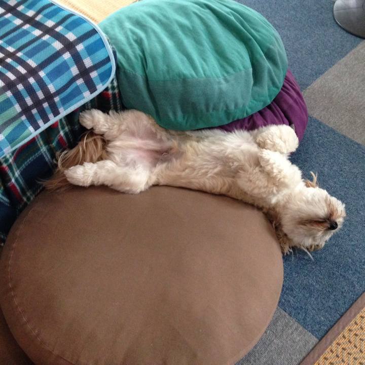 5c9032e4 5c14 4dfa 841d 3fa800086745