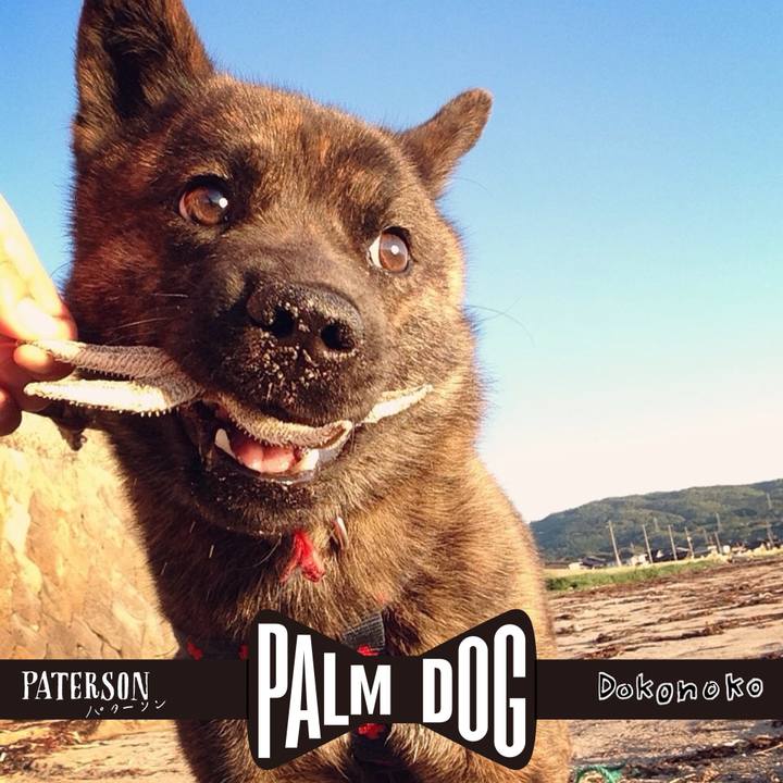 5c904af5 80c5 49a8 8202 8f1737b2e584