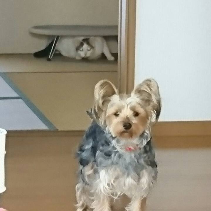 5c90f58d 3efa 4a25 8a8e 10c31a0235a6