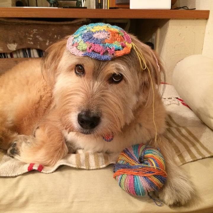 5c916d60 02df 4de4 8cb5 73ce8e9389e5