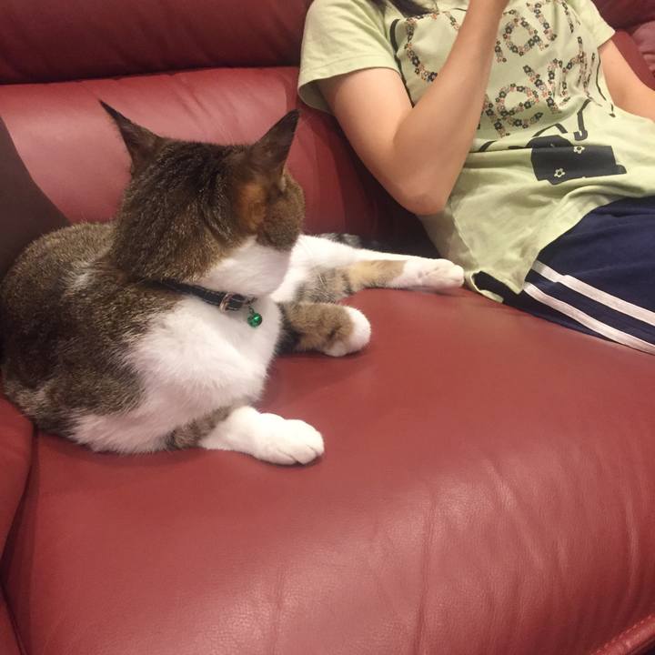 5c91b016 20e4 4c4f a9c5 6b3975f8eb0d