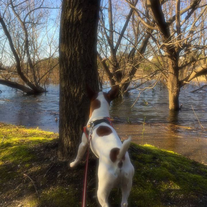 5c92046f cac6 49a6 a719 4c5f2deed3ba