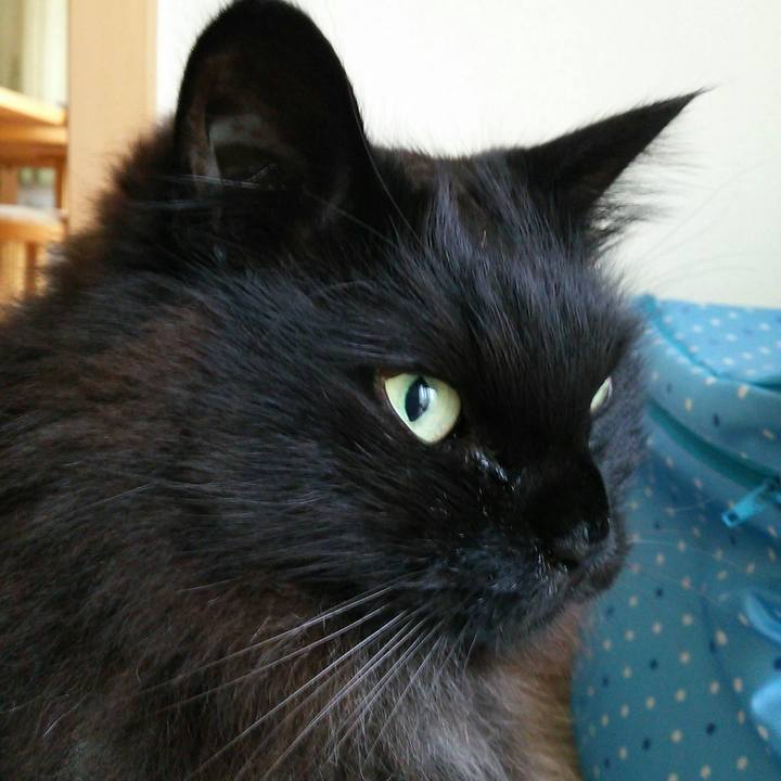 5c92a279 25c4 4c41 a2e9 e5dc8a3d06d3