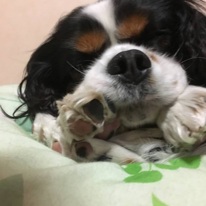 5c92d21d 71ee 4a02 a44d d72cd0eac9f6