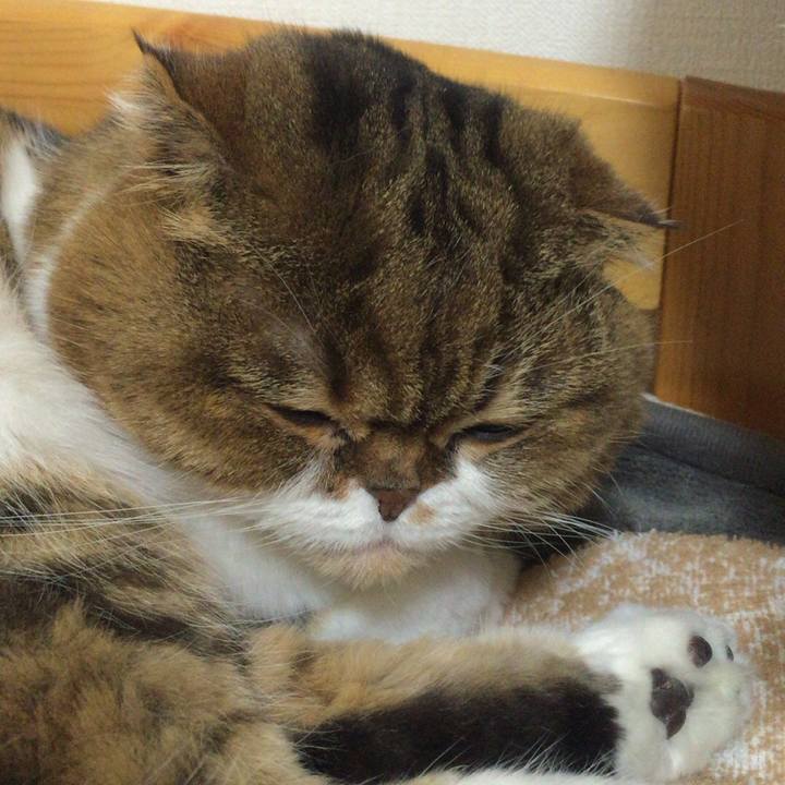 5c9306d1 2d58 47f4 b0fd 6084a58fbf6d