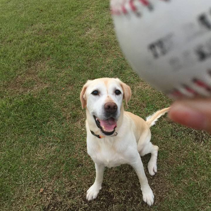 5c931df7 2be4 4a54 b1b3 7cad338a9786