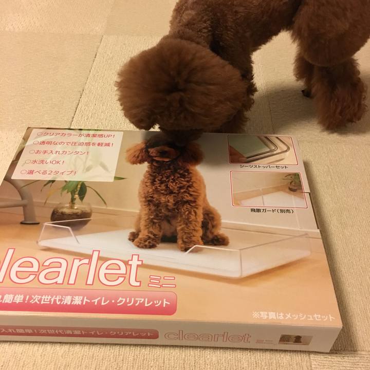 5c938c8d cbb8 45a1 ac76 77b7af4884b0