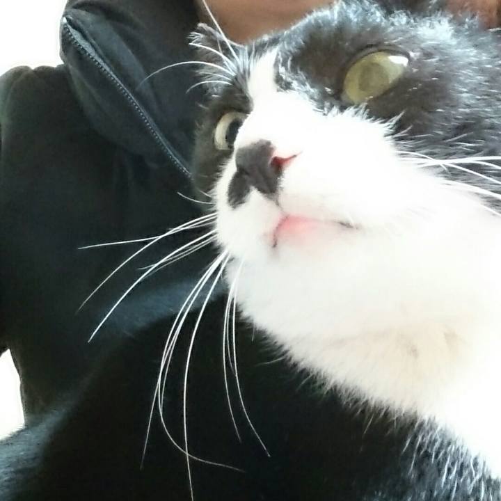 5c93e81b 9df1 4da2 ac1d d60693d17ca0