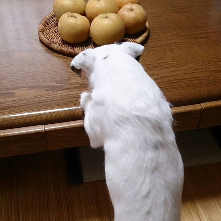 5c94d6c9 ea10 4aa3 85d3 924c7719d849