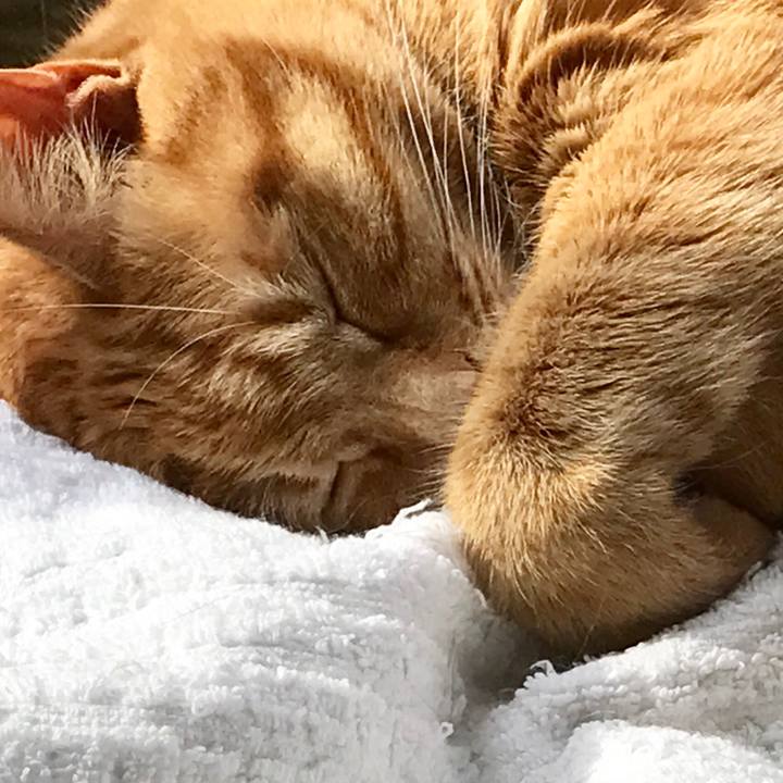 5c9515b0 d76a 40ce a688 b39bb2582e3c