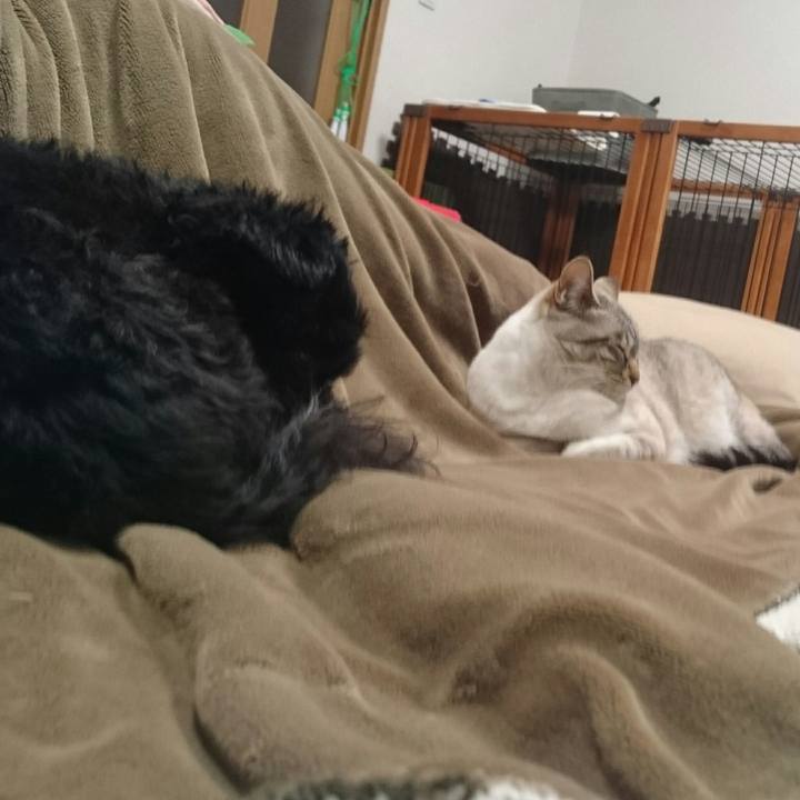 5c95379c a9d4 4f99 88e5 54857f60b642