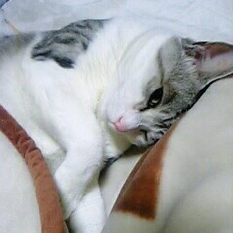 5c9574ca 9f1c 4048 8dde 2eaaabe84c36