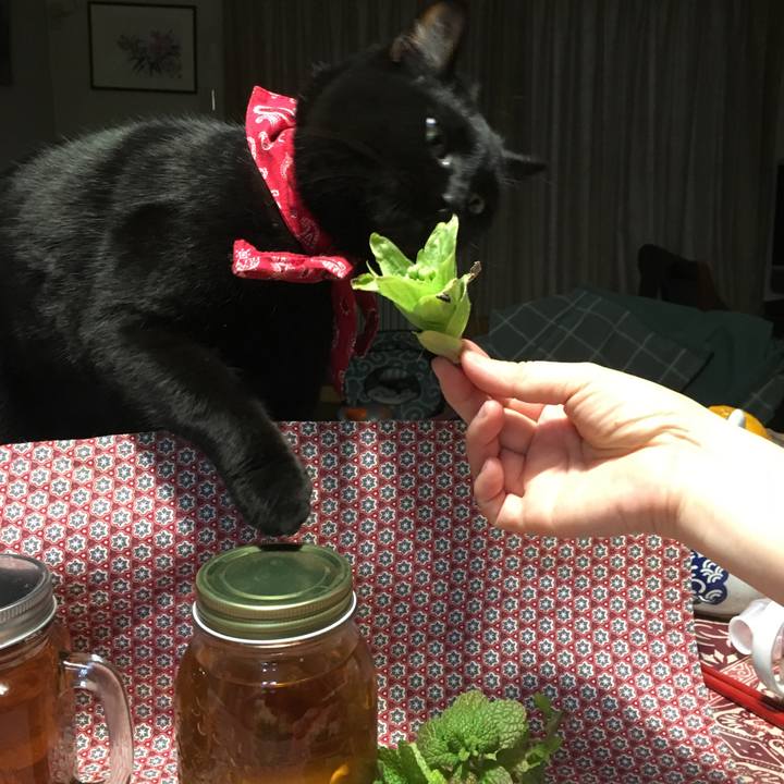 5c95d367 541f 4096 b46e df016eb1b875