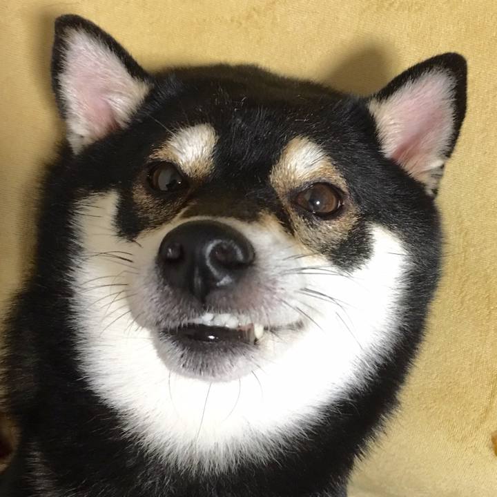 5c96d7e2 c271 4a0e bdc8 c48ab76d00b1