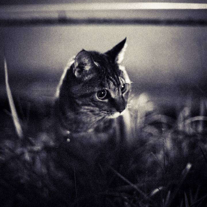 5c981988 bd1e 4d47 b284 54edefee55e8