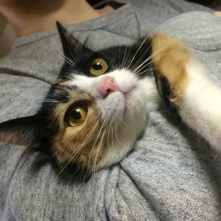 5c98a08d c8ee 4bf2 8462 f38a1a72d9b2