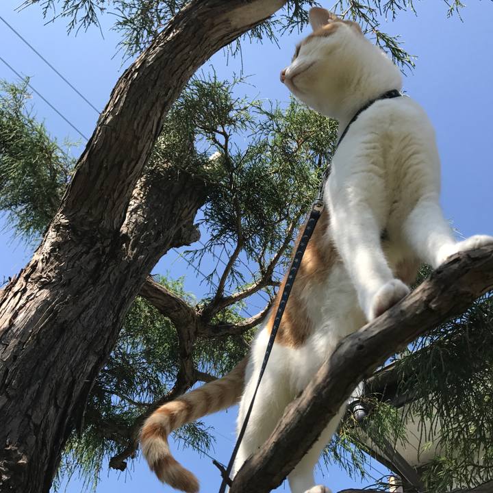 5c98a493 2a07 426b 9152 9a0dbd65444c