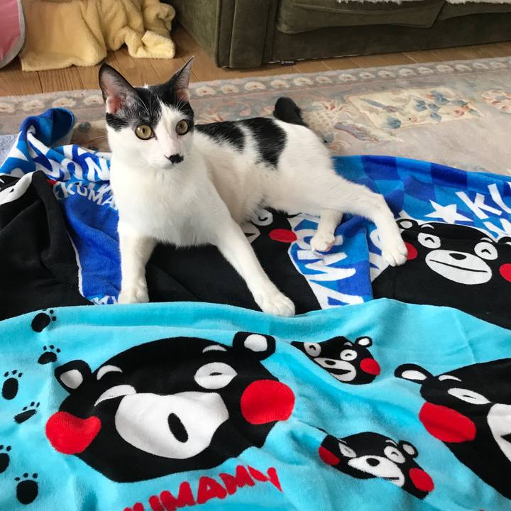 5c9c6499 b26d 4542 b23b 45ee70d8ee53