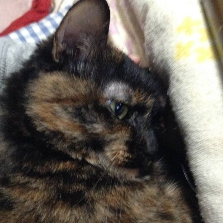 5c9cc9a6 c969 4c52 9175 b20a2077f7fb