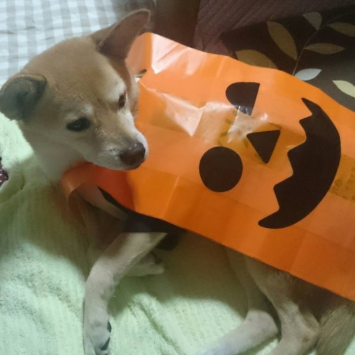 5c9cce89 73c6 4489 892d e813ed080d0a