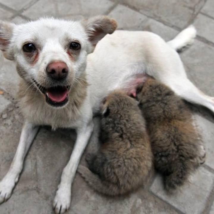 5c9d9806 ad63 4aac 8c41 146dbe70b9e2