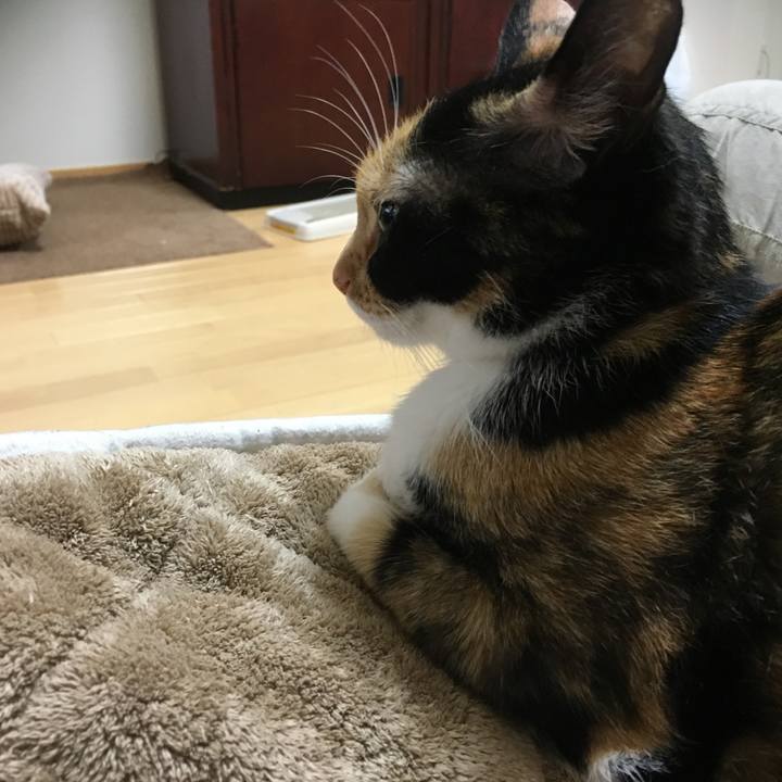 5c9e60ad e457 4047 b39f 29cb6716f847