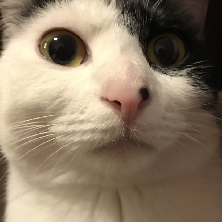 5c9ea779 b524 467c a0fc a30df6085e95