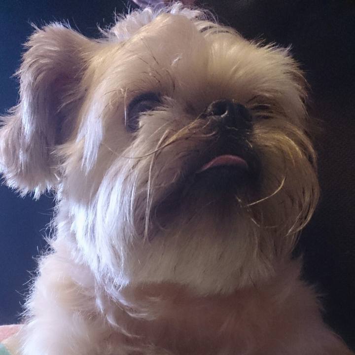 5c9eaefb 155d 4998 af10 c041b80e72f8