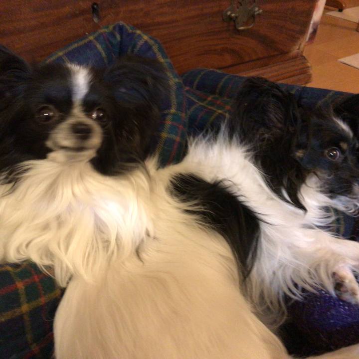 5c9ec1a6 08ef 4f8f 9024 3403babd6f5f