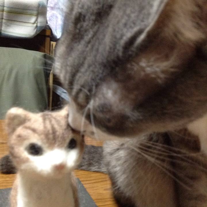 5c9ef80f 4152 49a4 a319 d9933f01f759