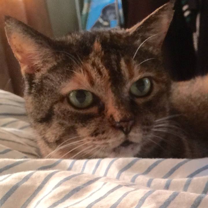 5c9f0f72 2dbe 4e72 b09d 6bdef14d6b5a