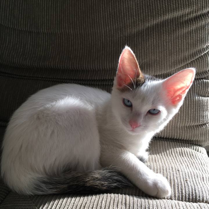 5c9f2262 21fd 44e2 a9f3 c87c2cab728e