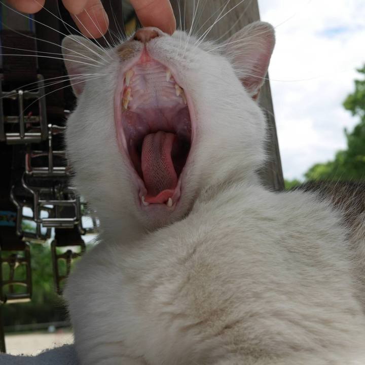 5c9f25f9 0fa0 4c2f 970d 294ae4437379