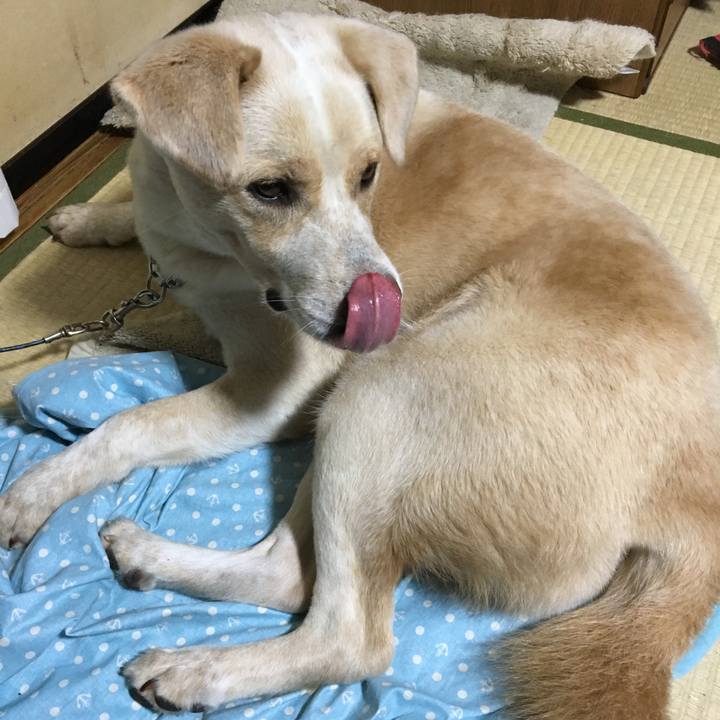 5c9f3a0b 5def 406b a934 d8956dbe5ab5