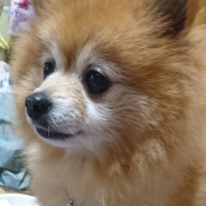 5c9f9da6 1084 4b12 a46e a08127d2d2c5