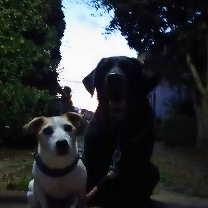 5ca0a27f 0528 4287 92aa de38c72e50ba